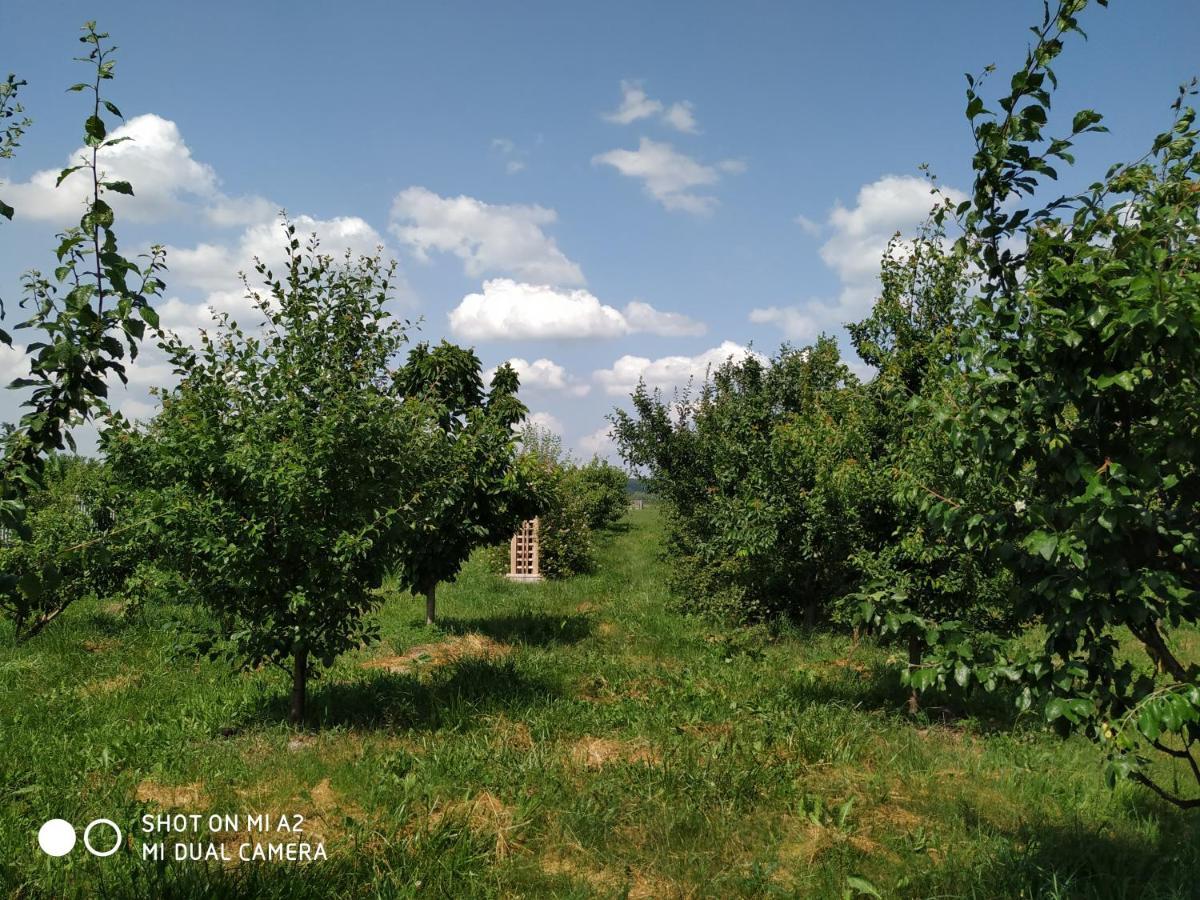 Noclegi Malgorzatka Solec-Zdroj Bagian luar foto